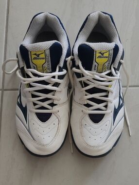 Mizuno Men Badminton Shoes